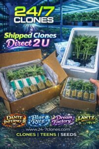 New Shipping Ad 2026