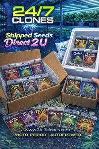 F1 Hybrid Seeds